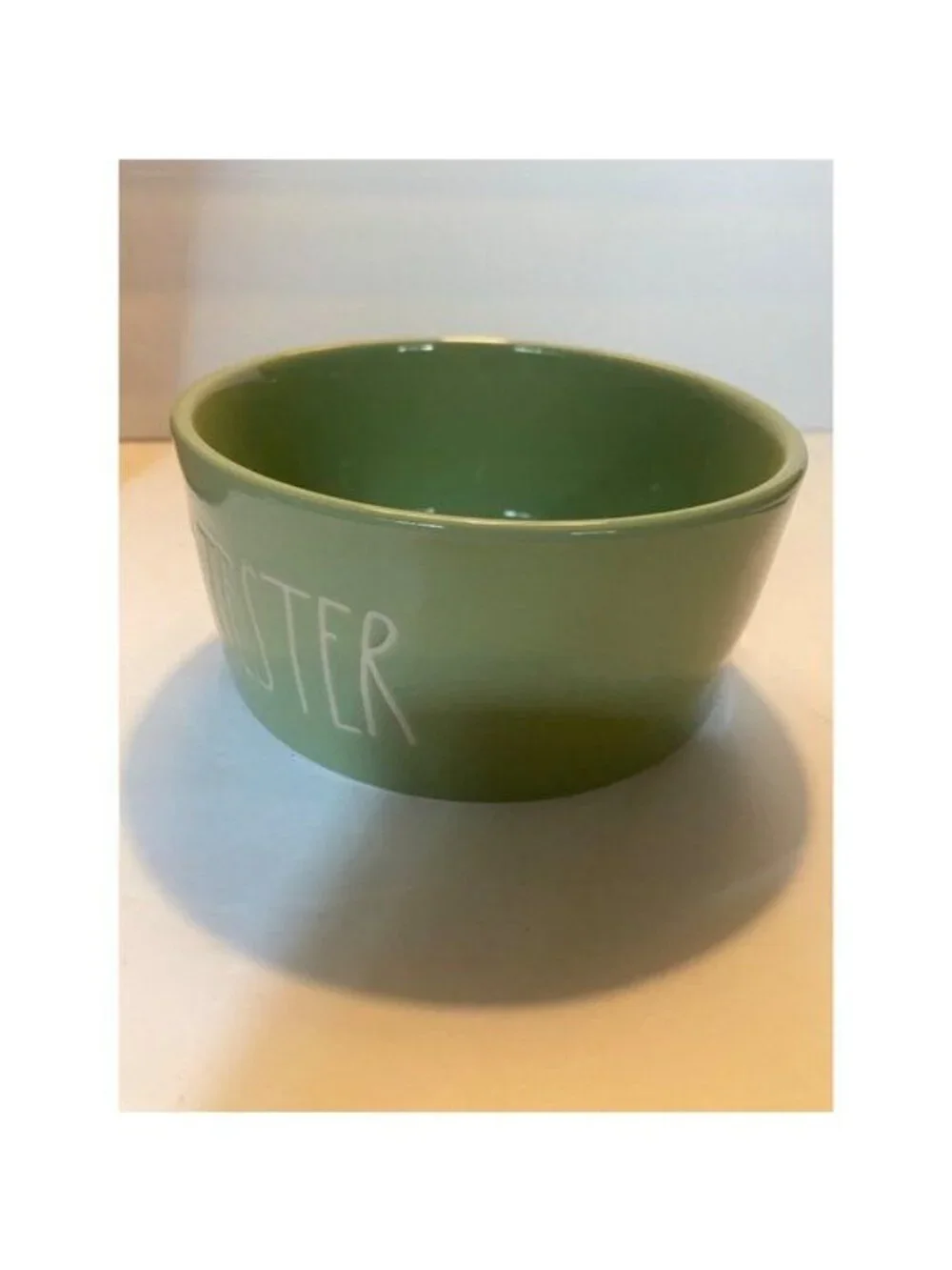 Rae Dunn Turkey Tester Etched Text Thanksgiving Ceramic Pet Bowl Serving Dish